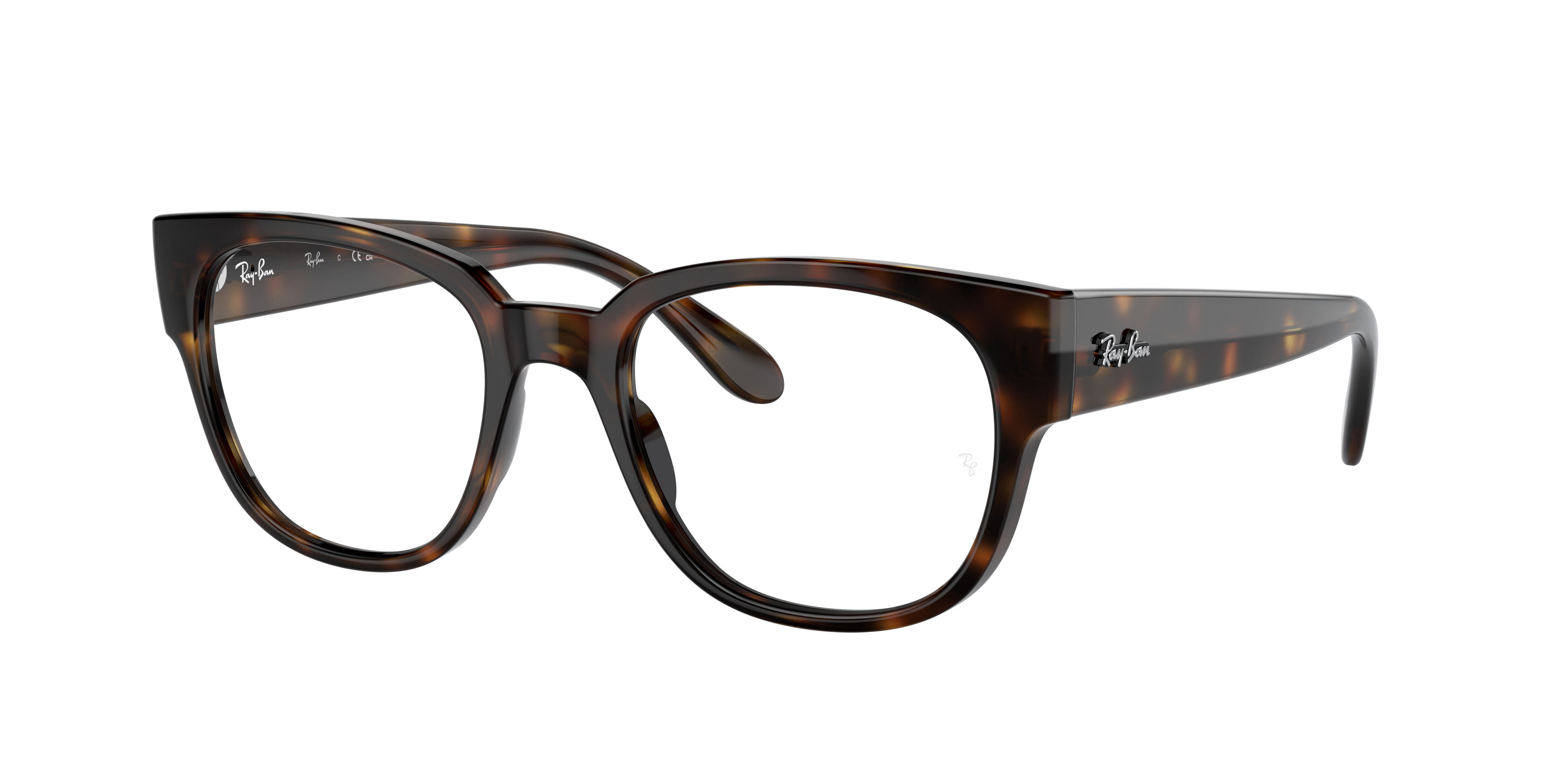 Ray-Ban RX7210 2012