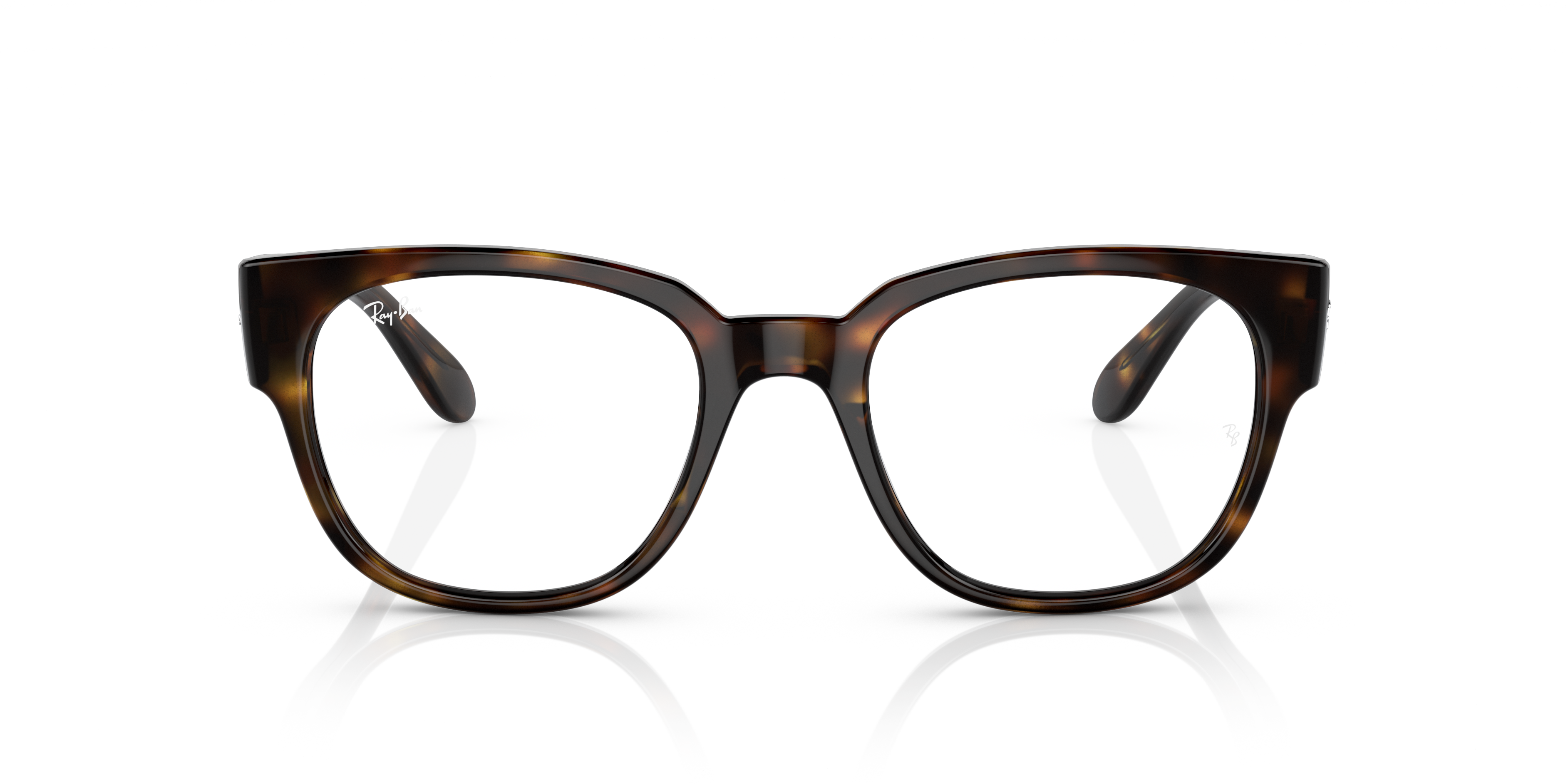 Ray-Ban RX7210 2012