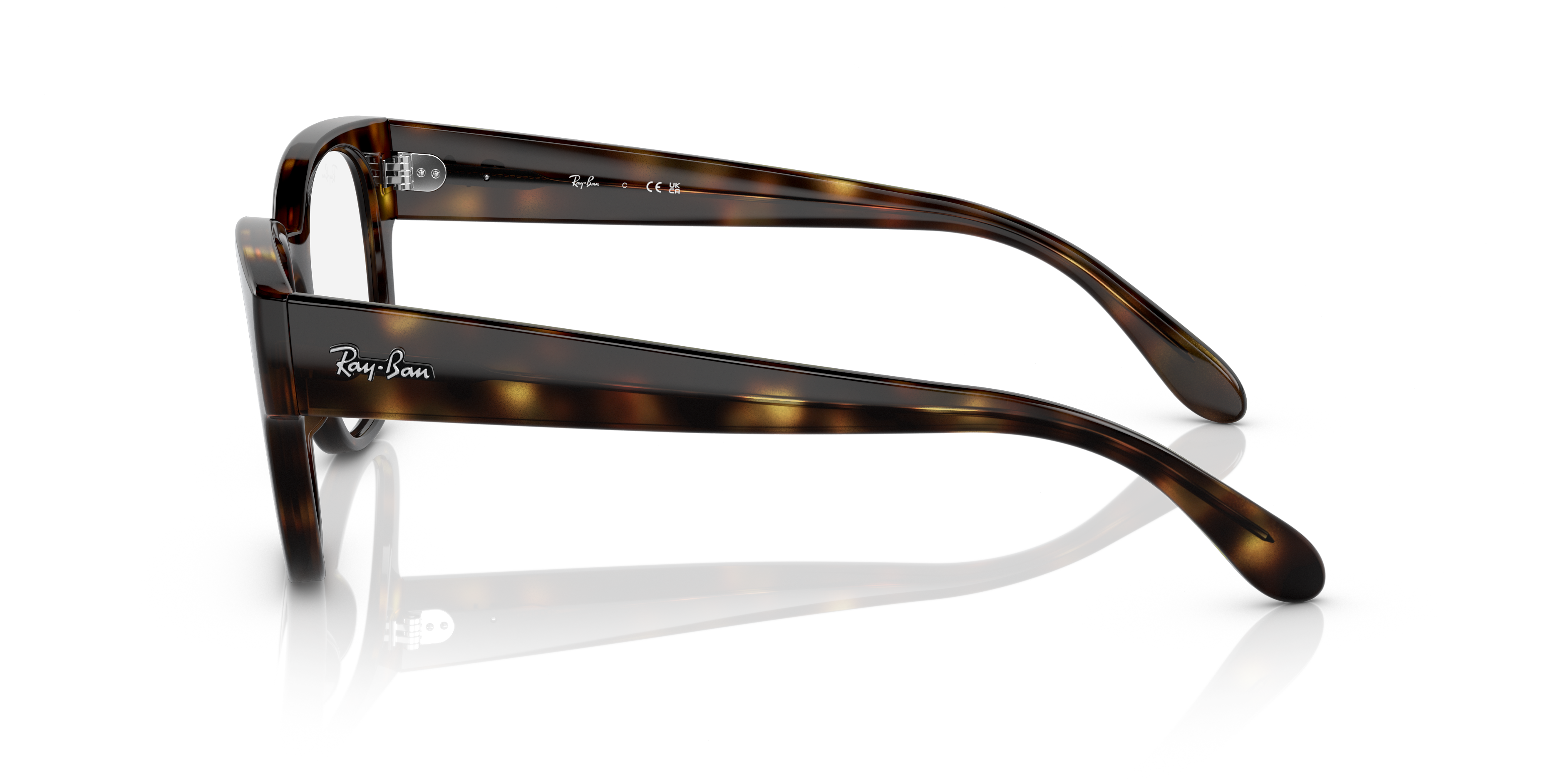 Ray-Ban RX7210 2012