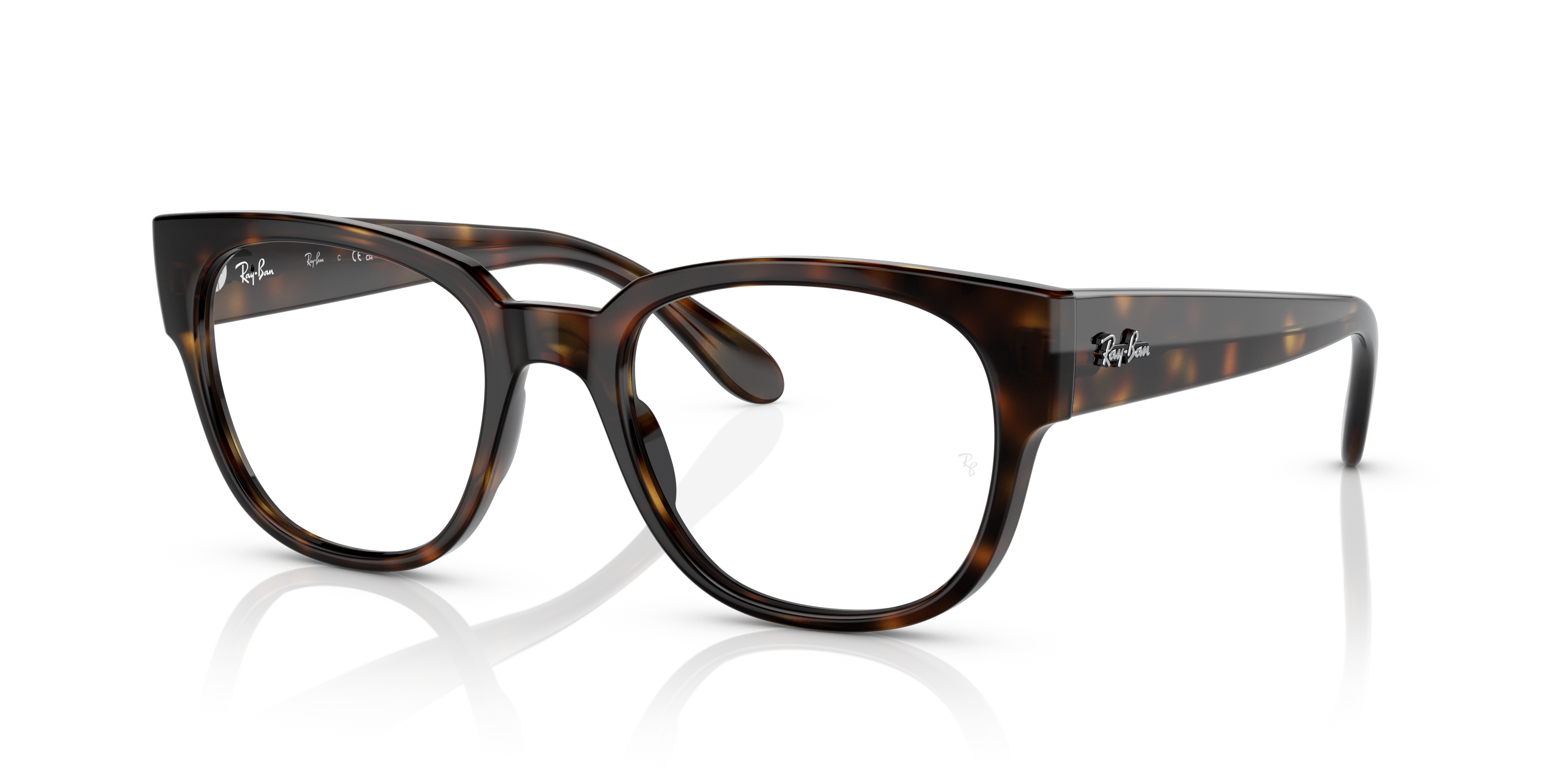 Ray-Ban RX7210 2012