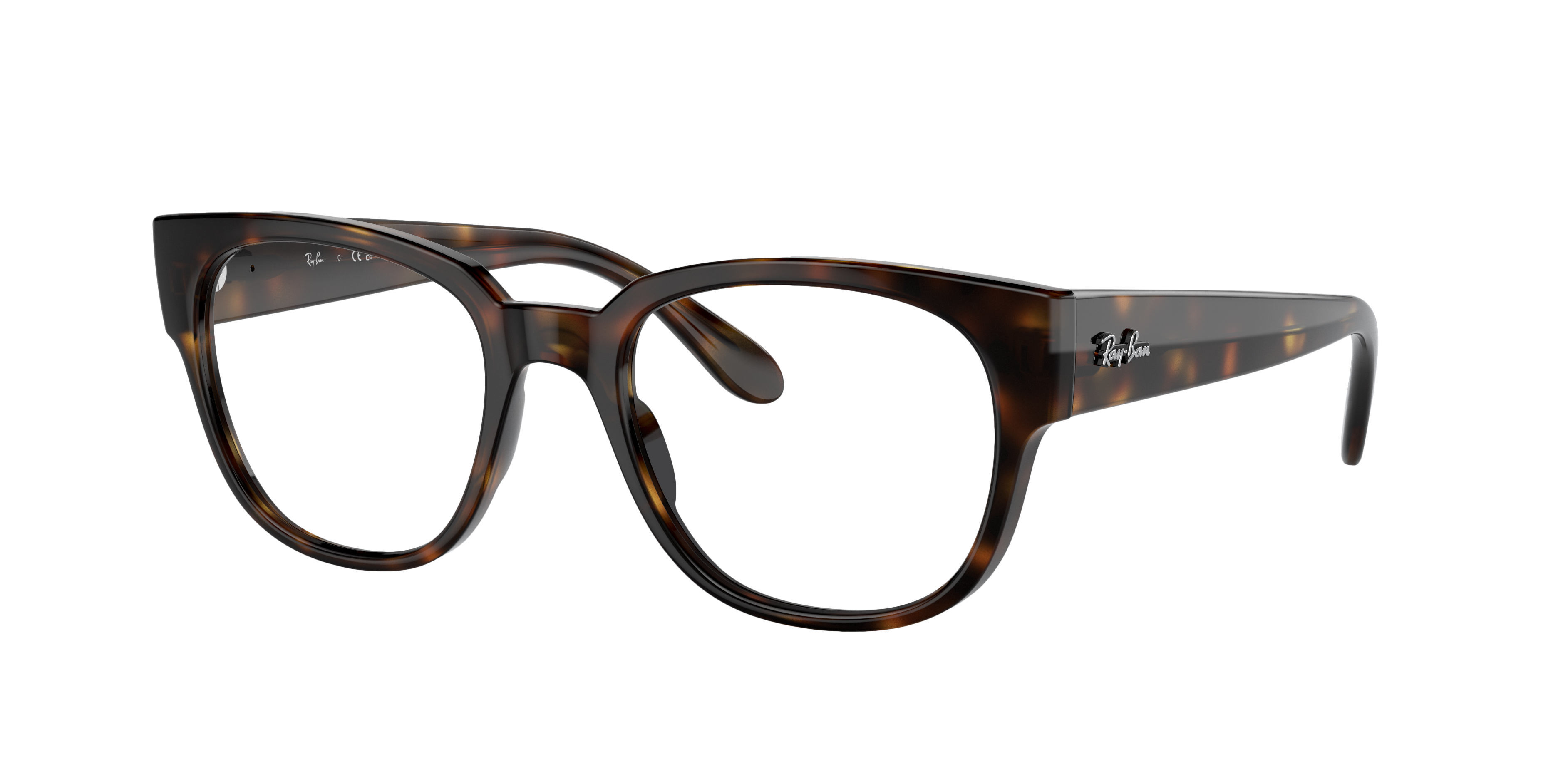 Ray-Ban RX7210 2012