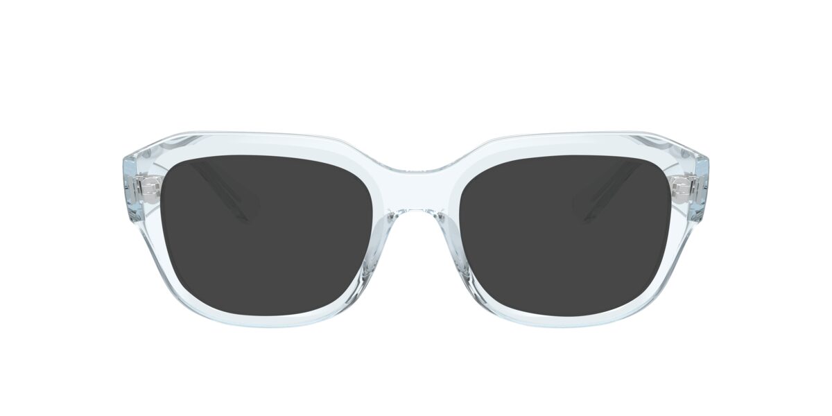 Ray-Ban RX7225 LEONID 8319