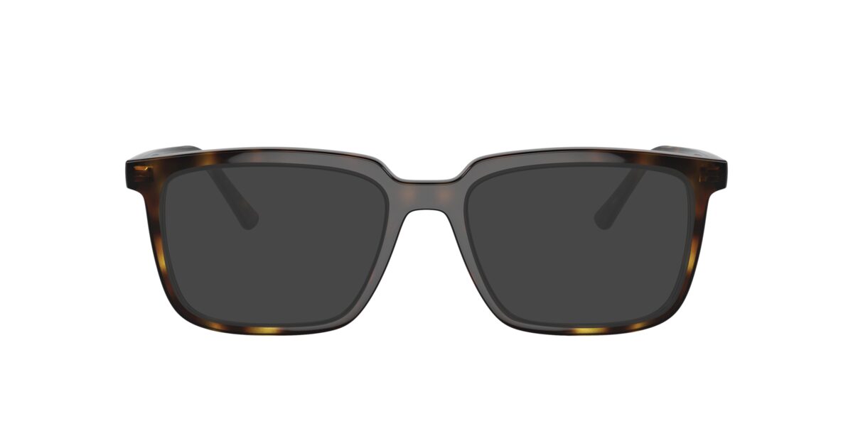 Ray-Ban RX7239 ALAIN 2012