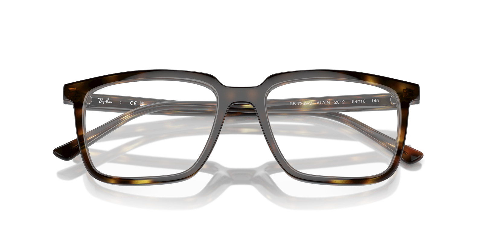 Ray-Ban RX7239 ALAIN 2012