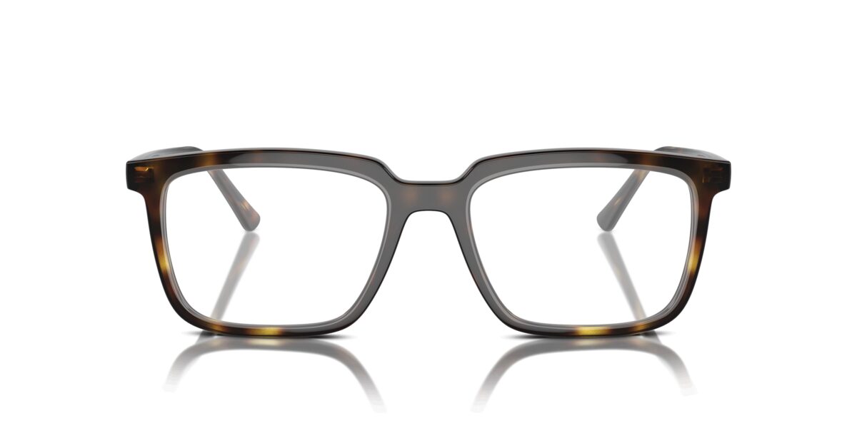 Ray-Ban RX7239 ALAIN 2012