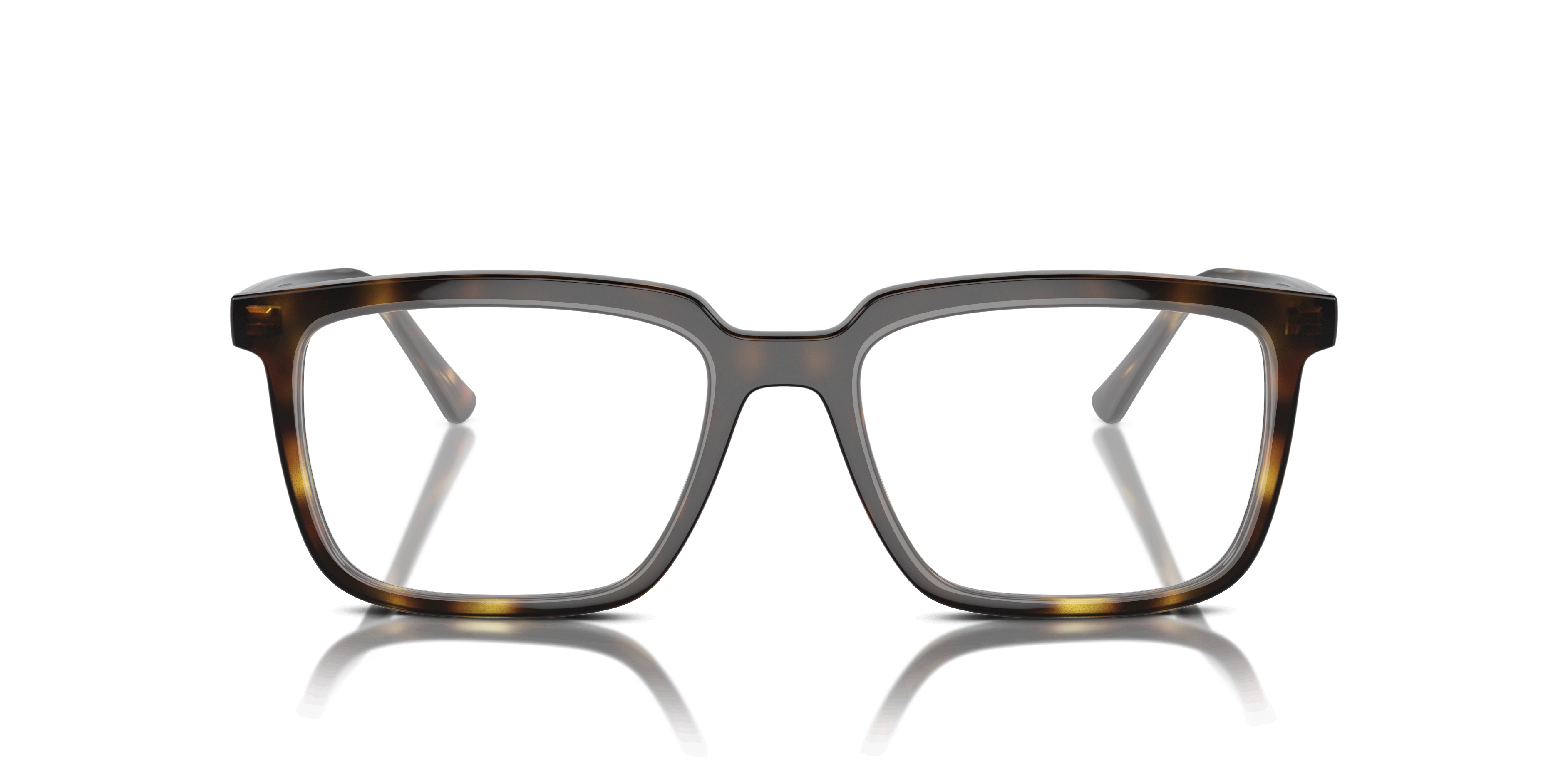 Ray-Ban RX7239 ALAIN 2012