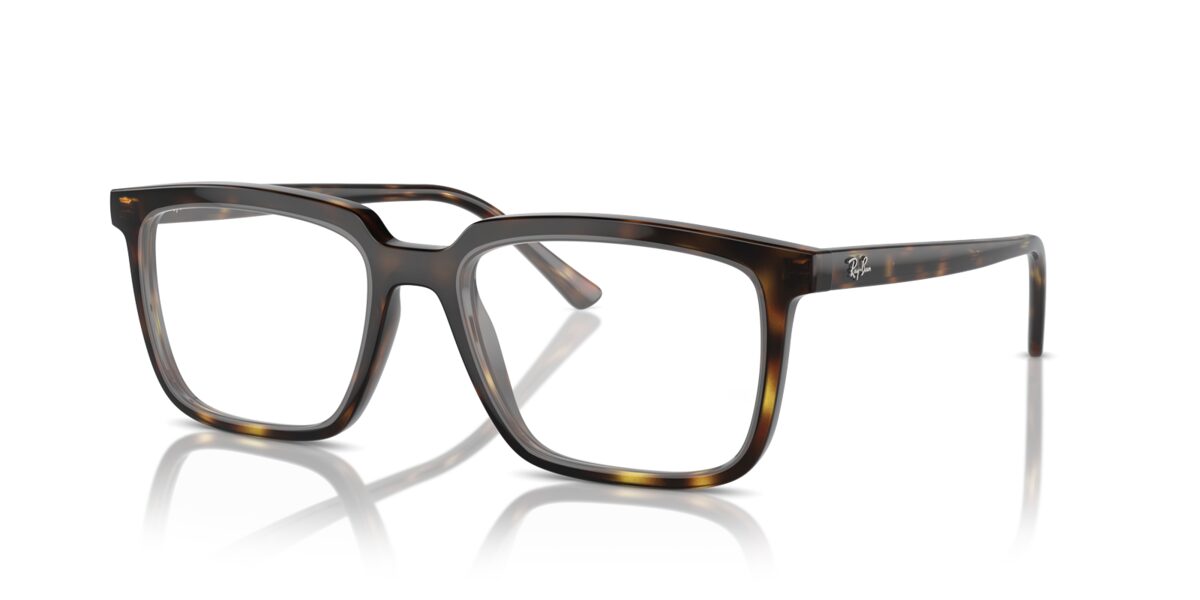 Ray-Ban RX7239 ALAIN 2012