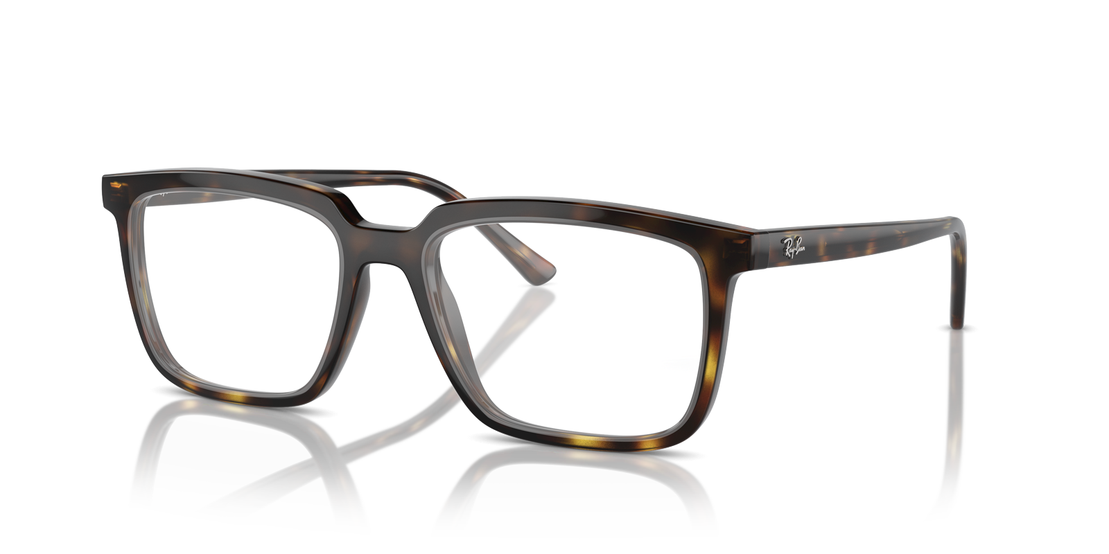 Ray-Ban RX7239 ALAIN 2012