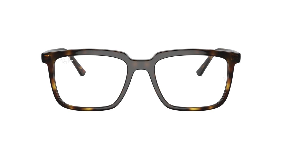Ray-Ban RX7239 ALAIN 2012