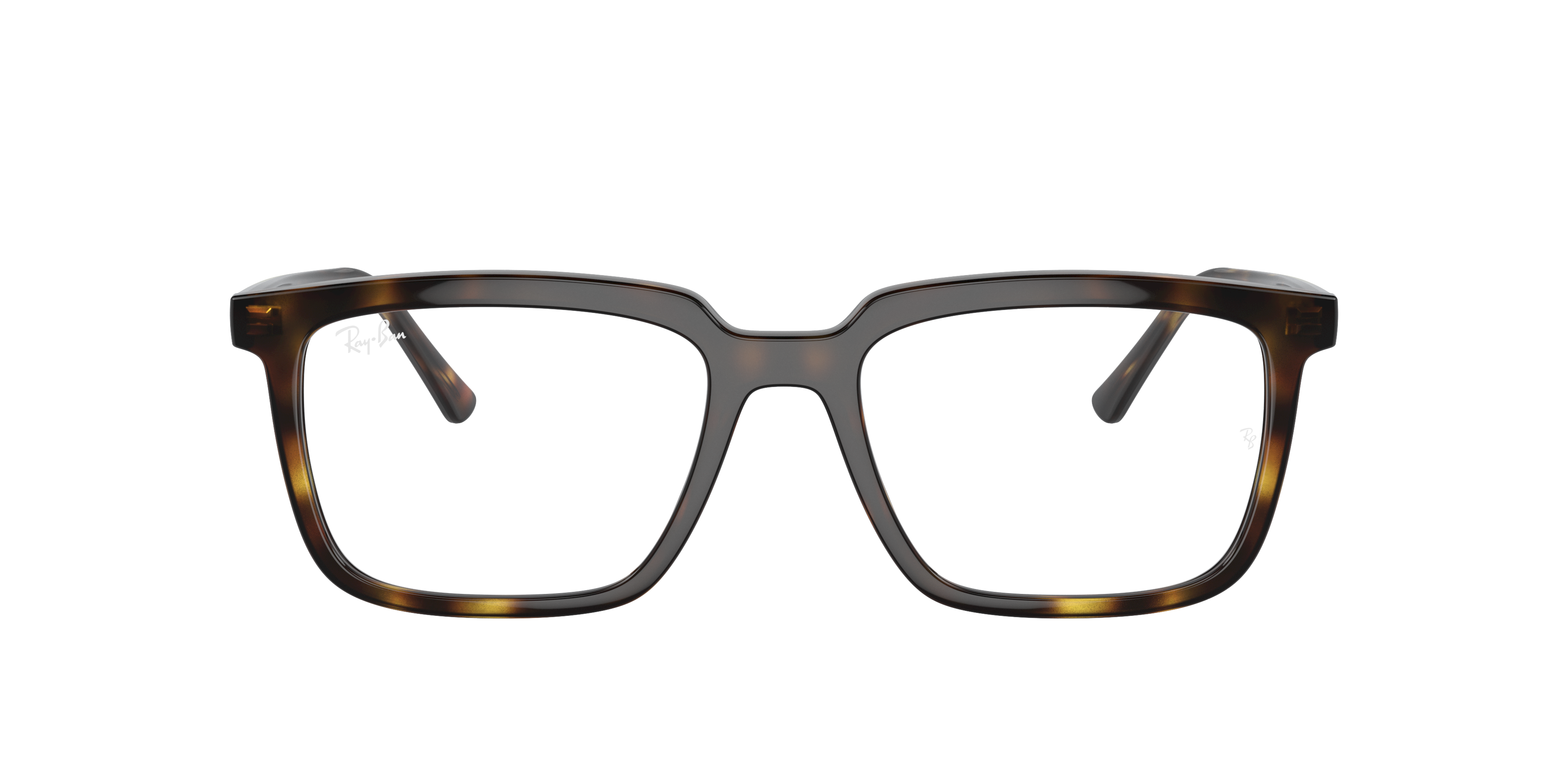 Ray-Ban RX7239 ALAIN 2012