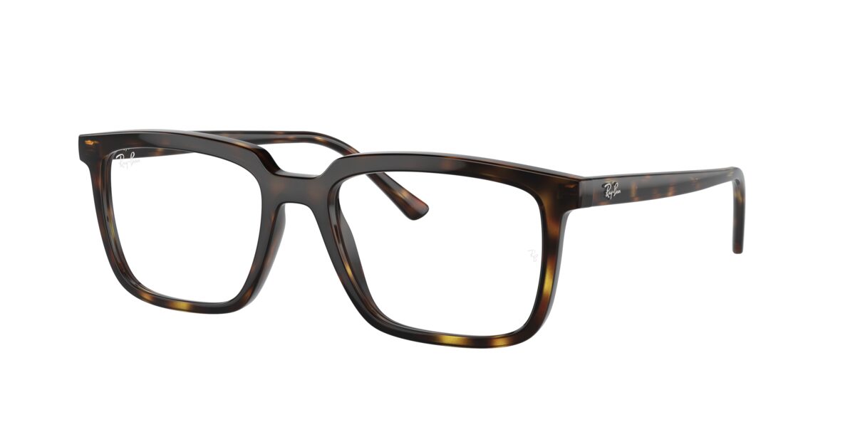 Ray-Ban RX7239 ALAIN 2012