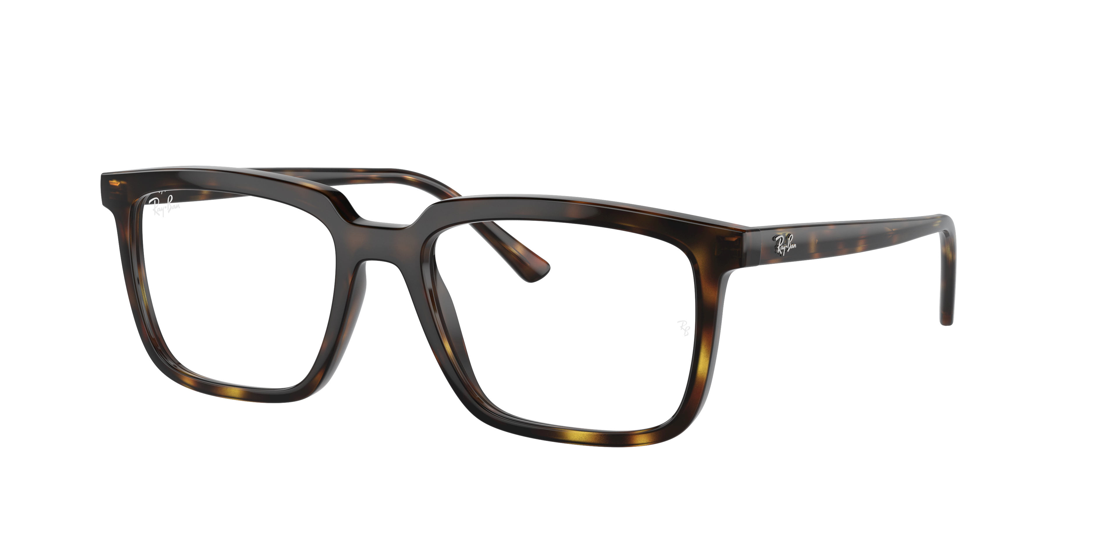 Ray-Ban RX7239 ALAIN 2012