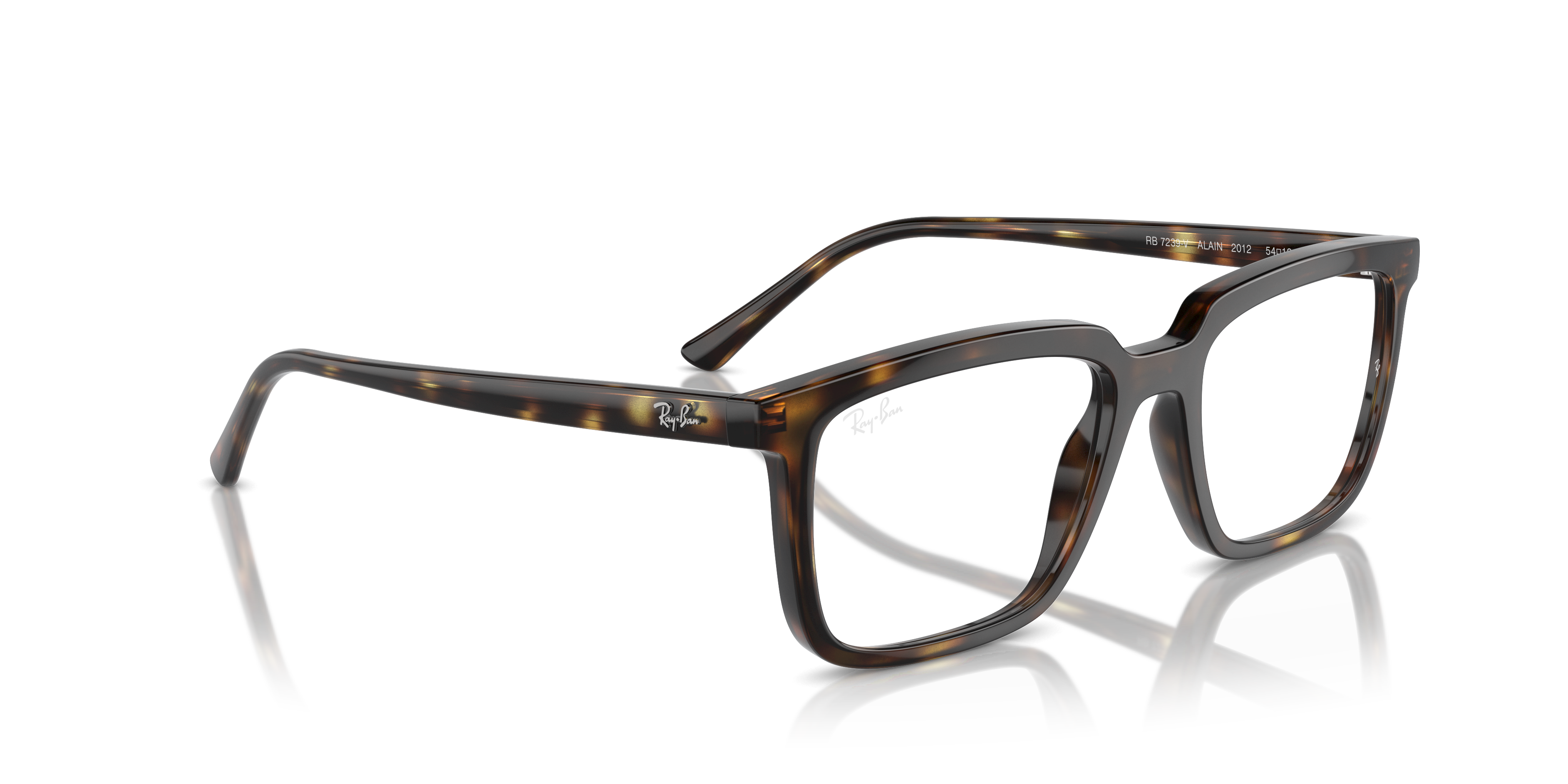 Ray-Ban RX7239 ALAIN 2012