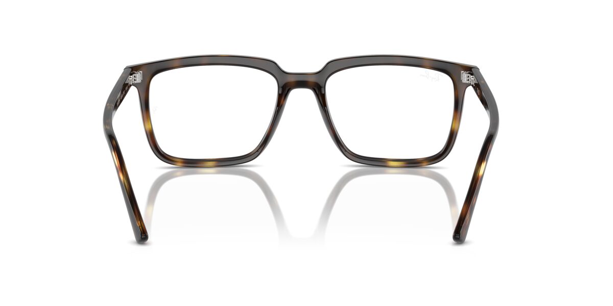 Ray-Ban RX7239 ALAIN 2012