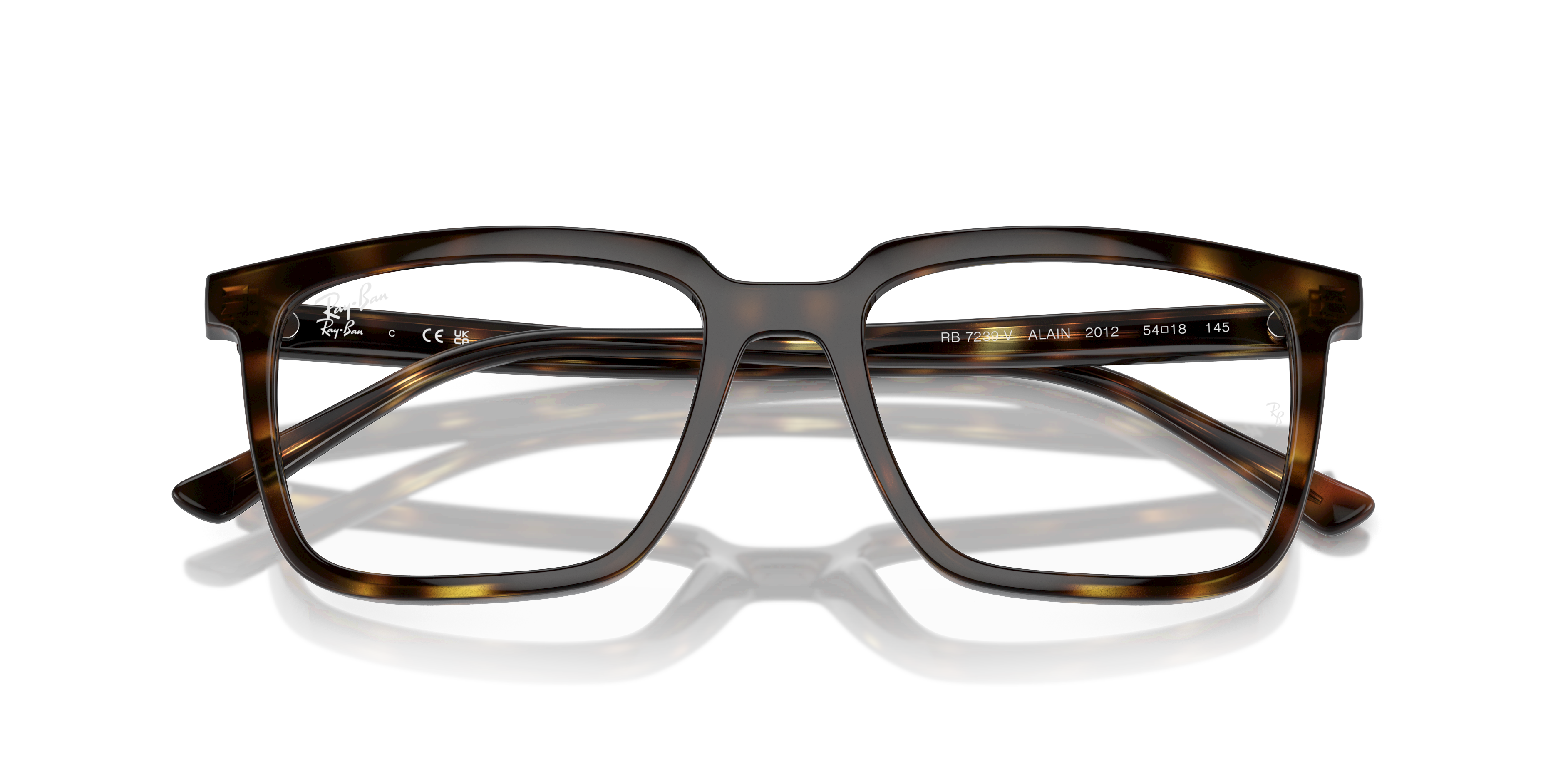 Ray-Ban RX7239 ALAIN 2012