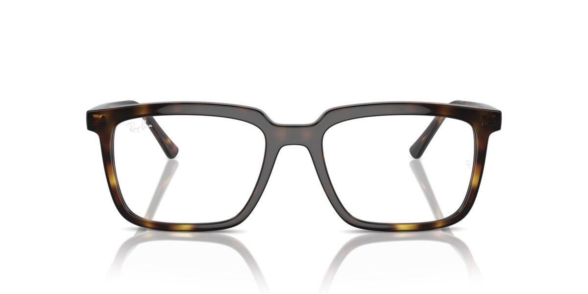 Ray-Ban RX7239 ALAIN 2012