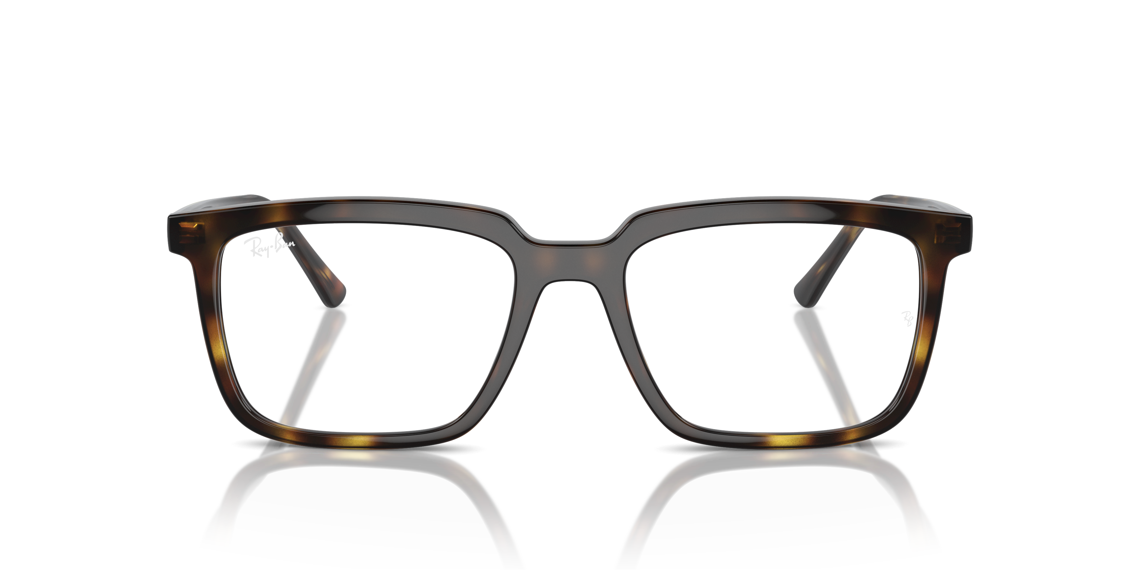 Ray-Ban RX7239 ALAIN 2012