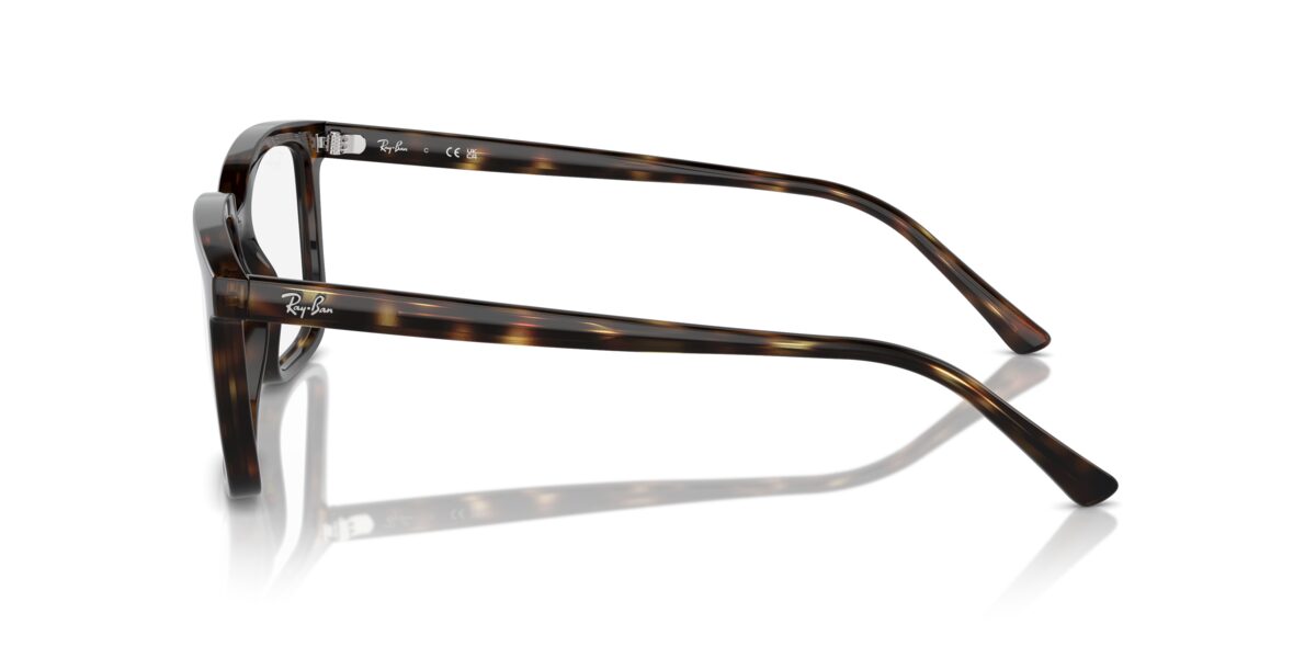 Ray-Ban RX7239 ALAIN 2012