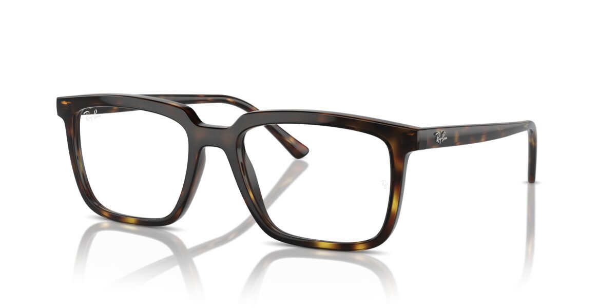 Ray-Ban RX7239 ALAIN 2012