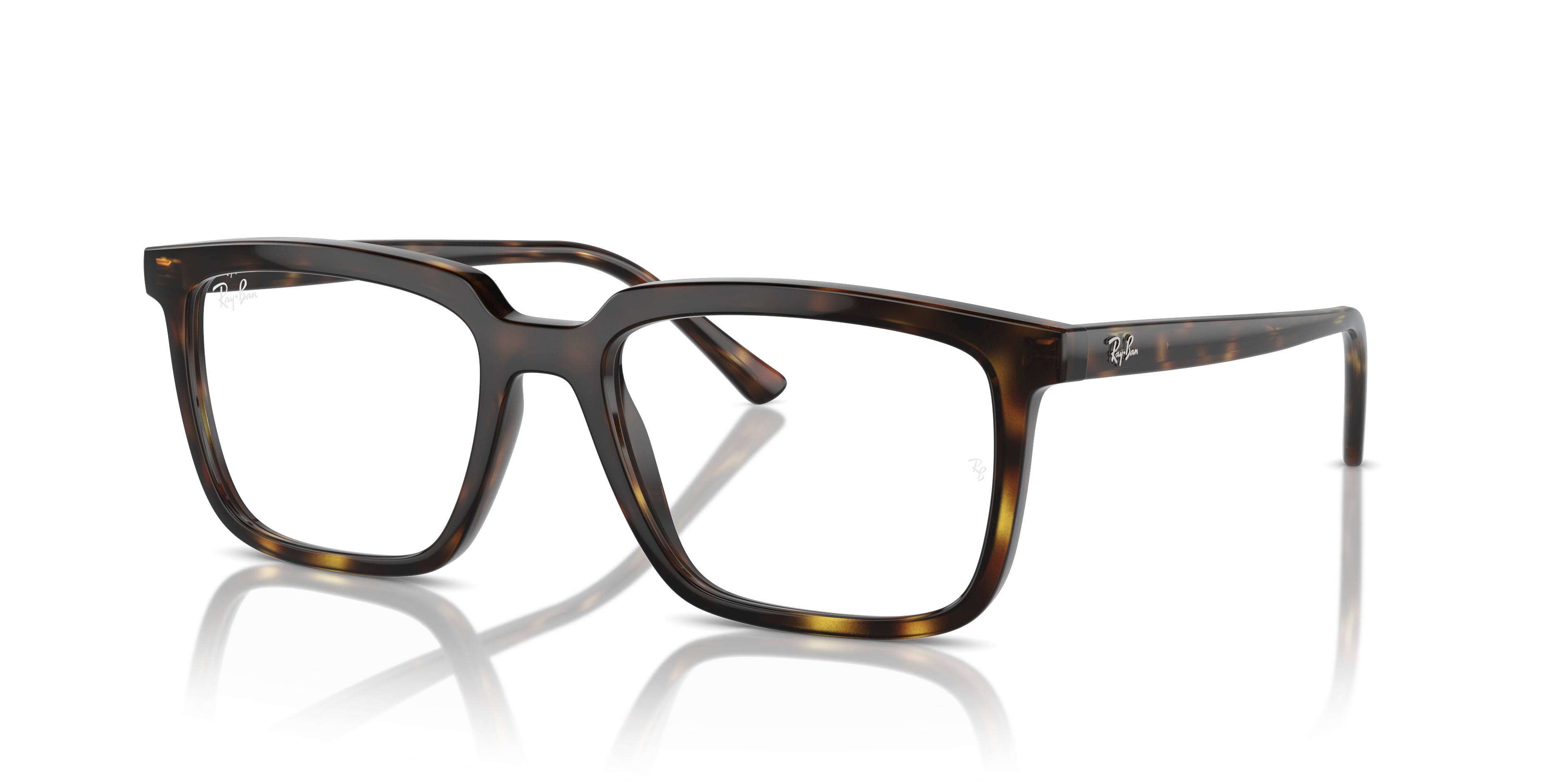 Ray-Ban RX7239 ALAIN 2012