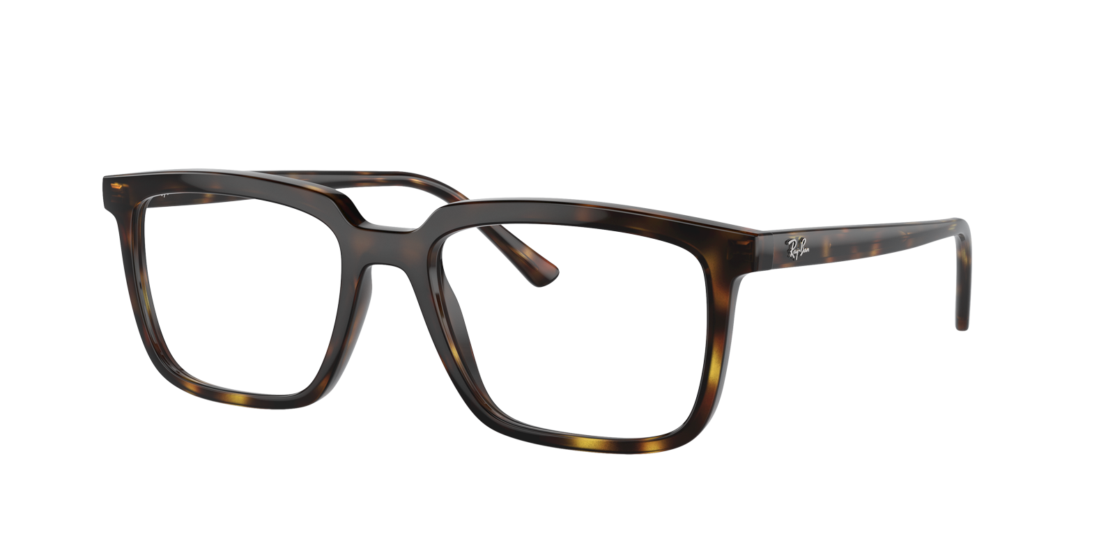 Ray-Ban RX7239 ALAIN 2012