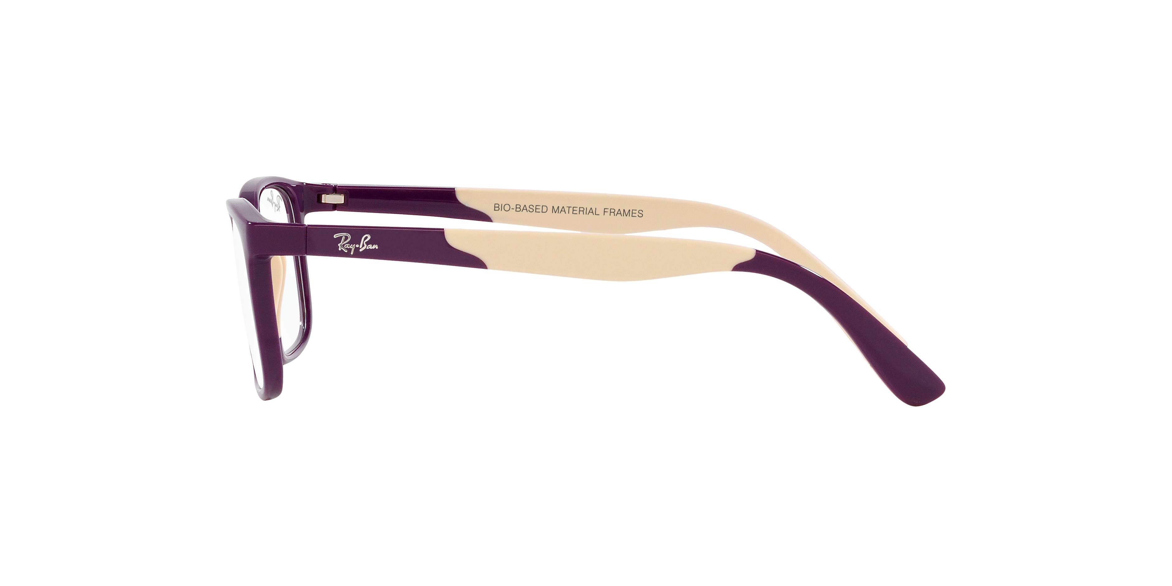 Ray-Ban RY1621 3931