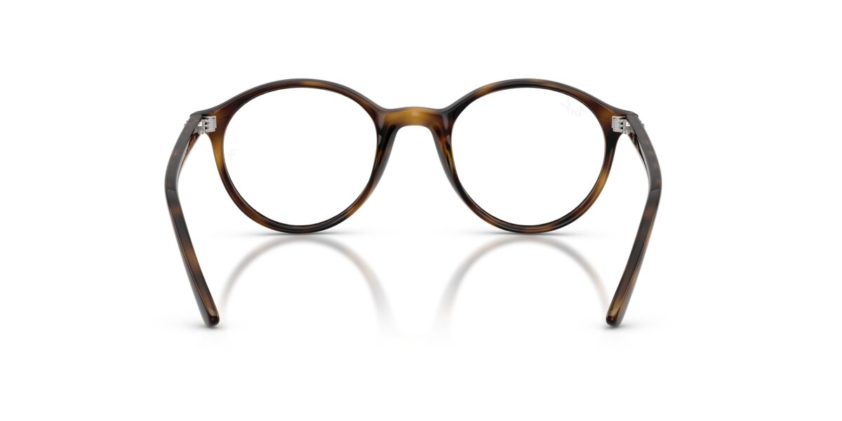 Ray-Ban RY1730 3685