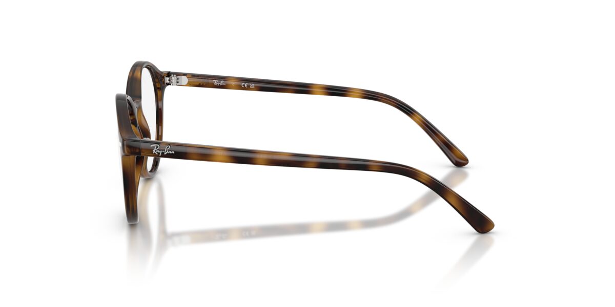 Ray-Ban RY1730 3685