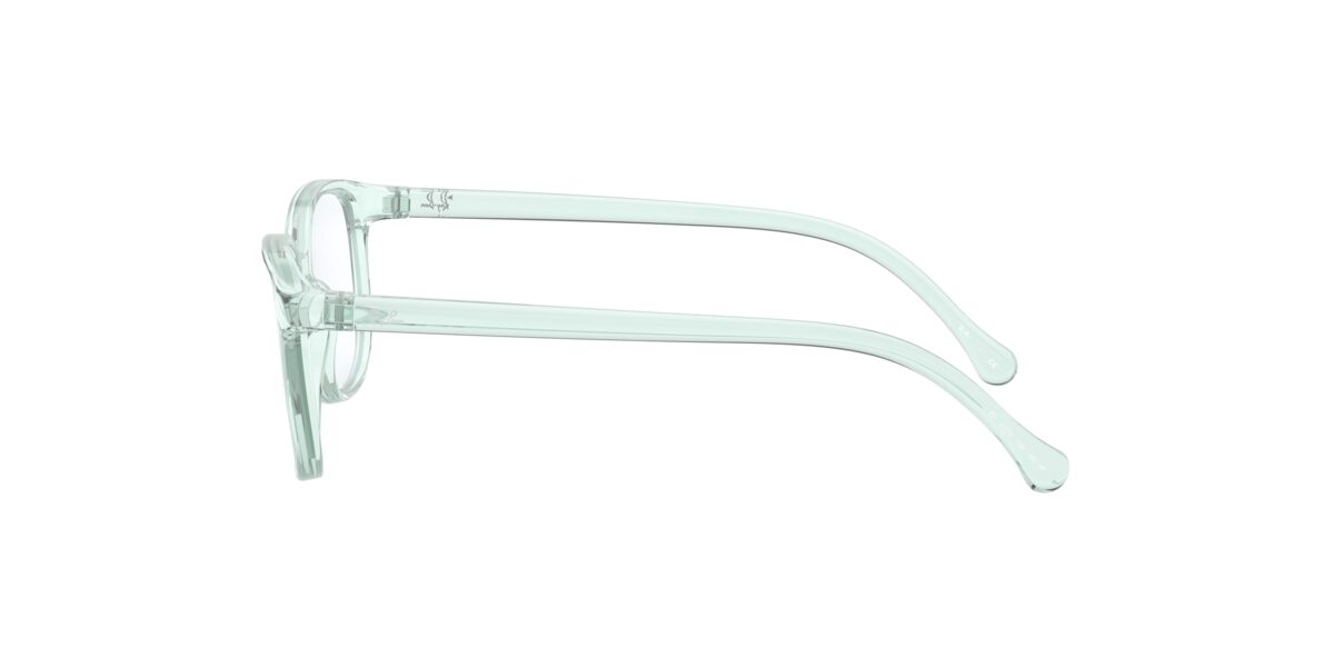 Ray-Ban RY1900 3837