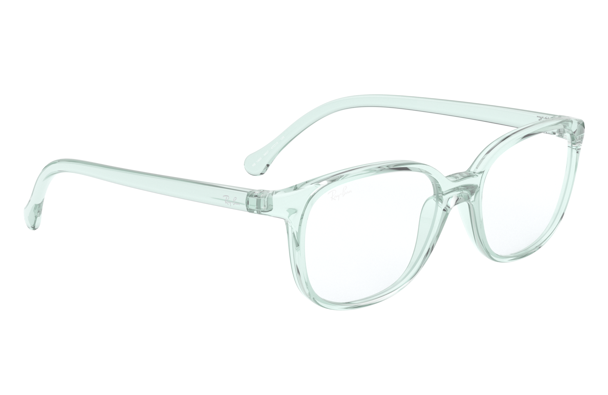 Ray-Ban RY1900 3837