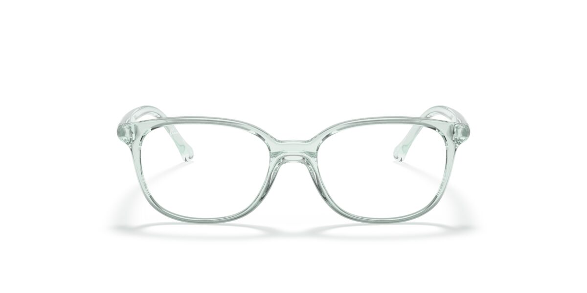 Ray-Ban RY1900 3837