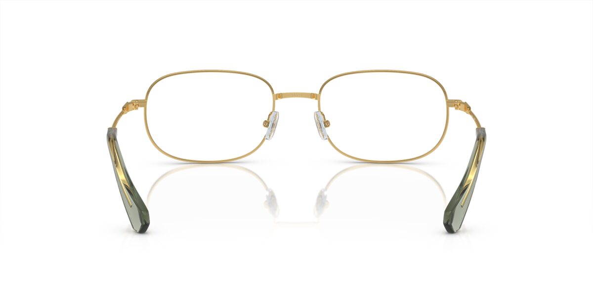 Swarovski SK1005 4004