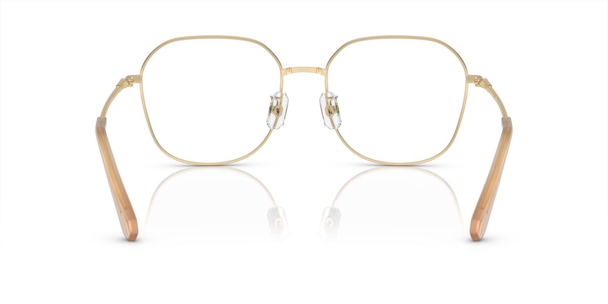 Swarovski SK1009D 4013