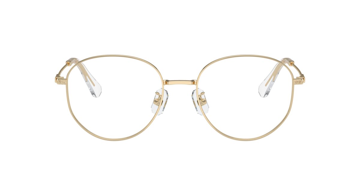 Swarovski SK1016D 4013