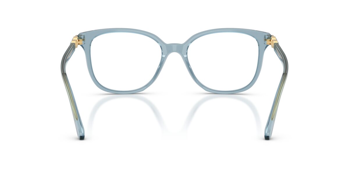 Swarovski SK2069 1108