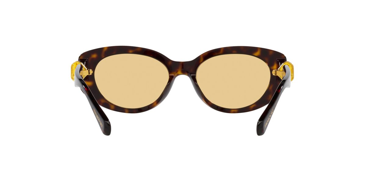 Swarovski SK6002 1002/8