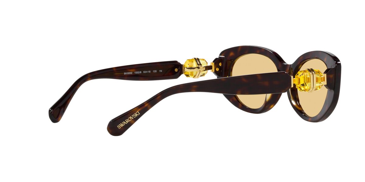 Swarovski SK6002 1002/8