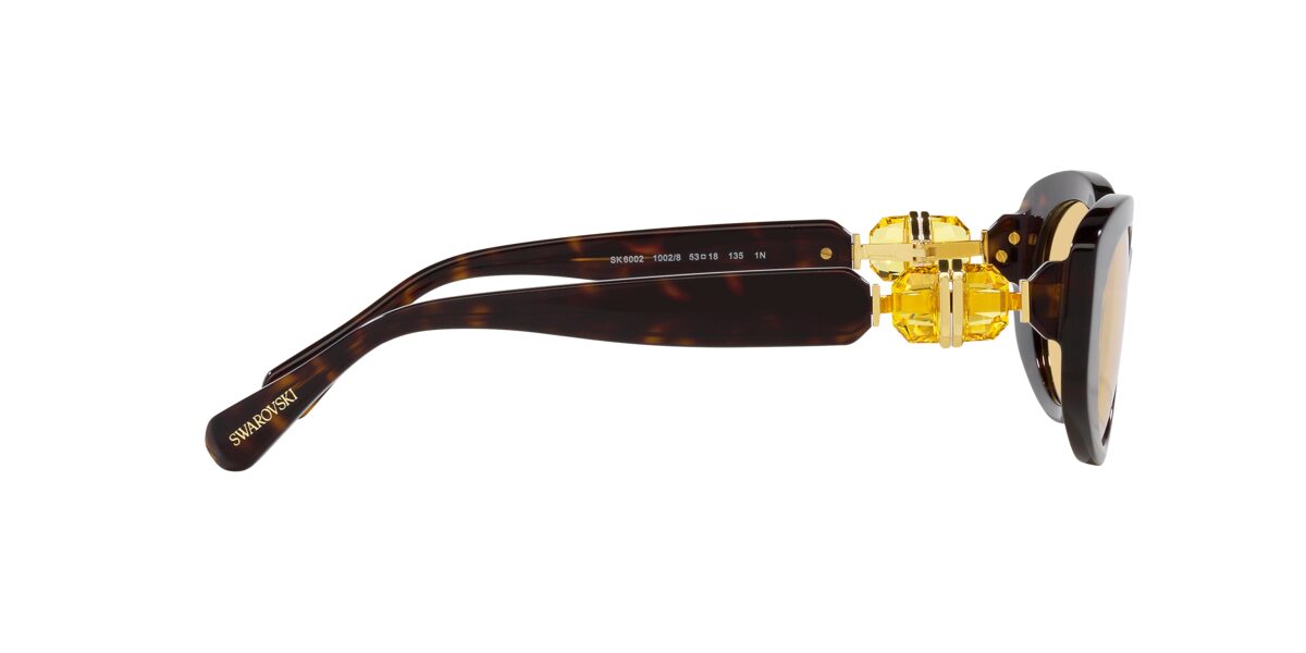 Swarovski SK6002 1002/8