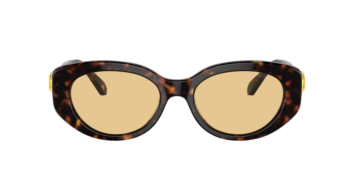 Swarovski SK6002 1002/8