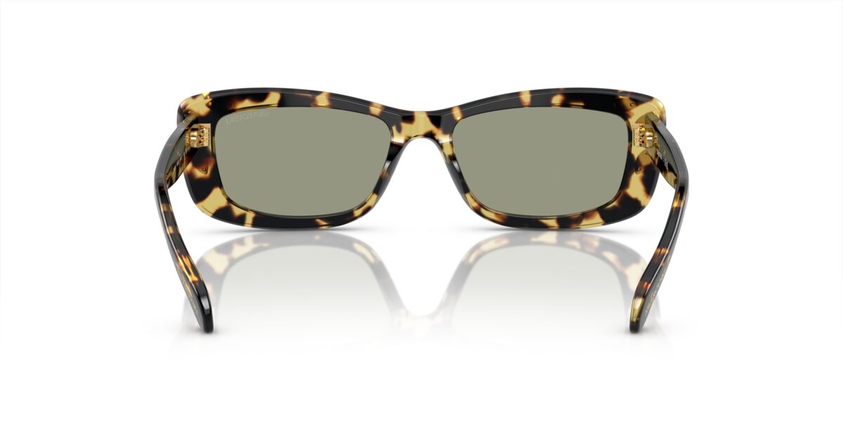 Swarovski SK6008 1009/2