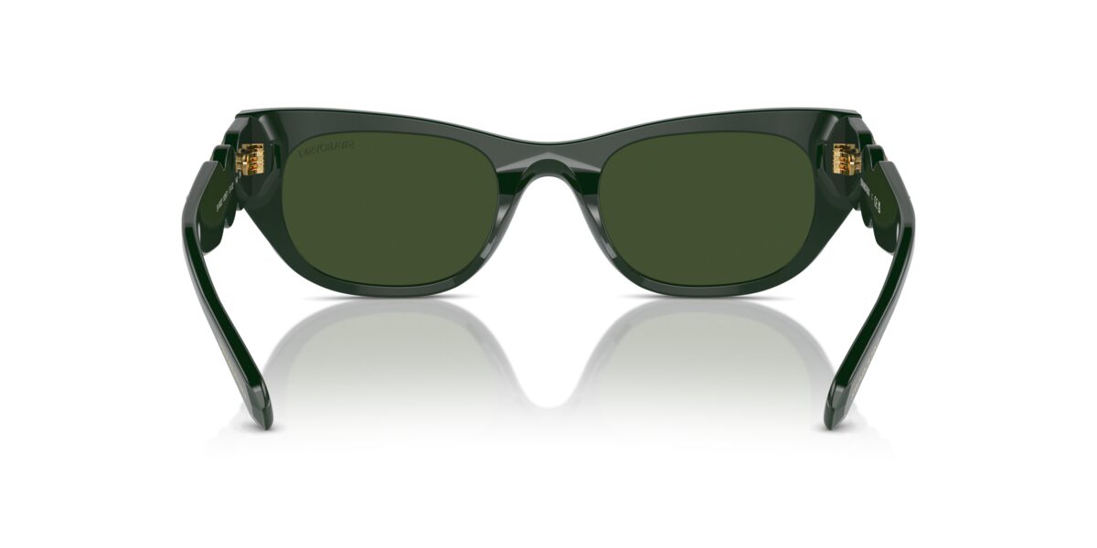 Swarovski SK6022 102671