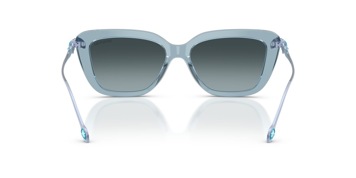 Swarovski SK6065U 1108V1