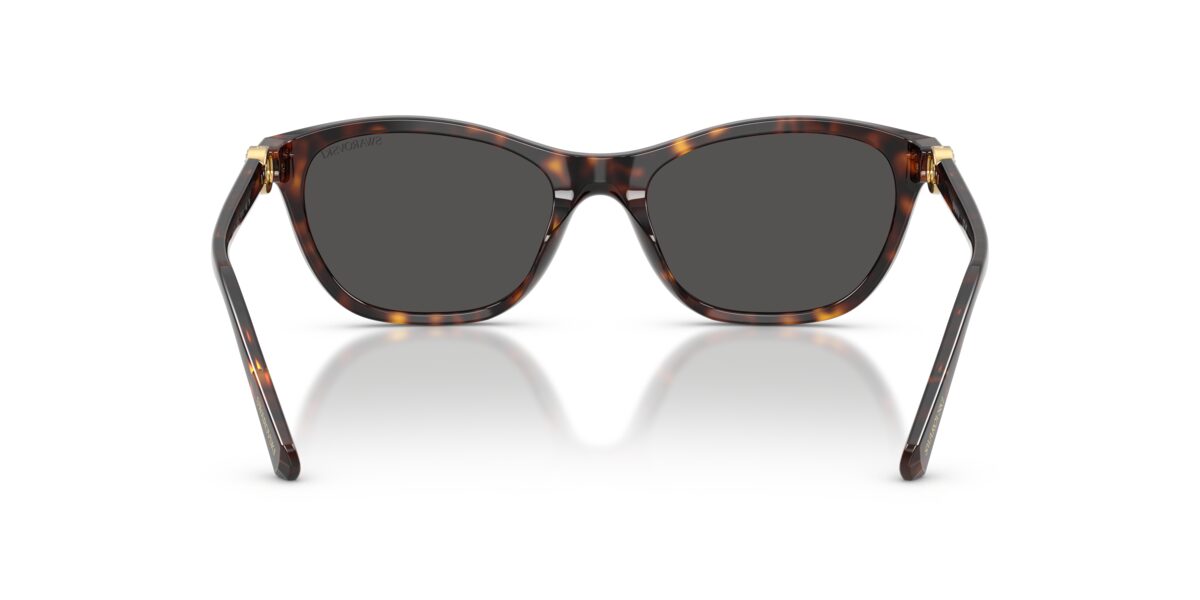 Swarovski SK6070 100287