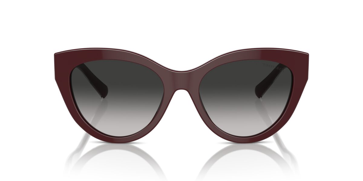 Tiffany TF4220 83893C