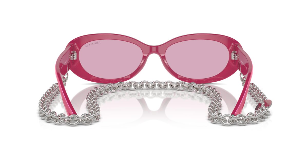 Tiffany TF4221 841176