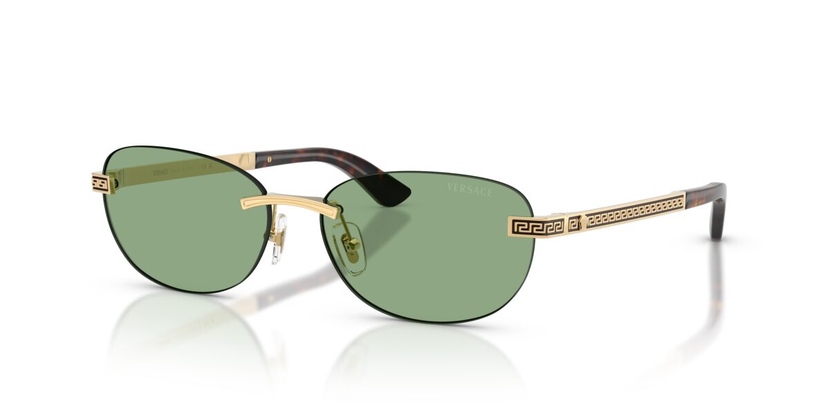 Versace VE2307 152382