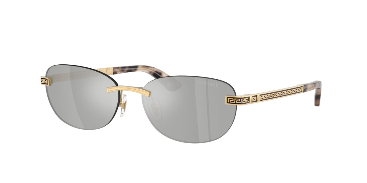 Versace VE2307 15238V