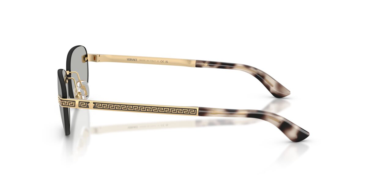 Versace VE2307 15238V