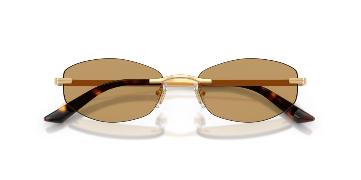 Versace VE2308D 152373