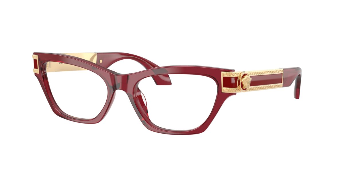 Versace VE3396U 388